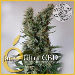 Jack Ultra CBD