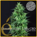 Llimonet Haze Ultra CBD