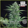 Auto La Rica CBD