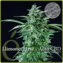 Auto Llimonet Haze CBD