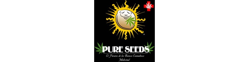 Pure Seeds
