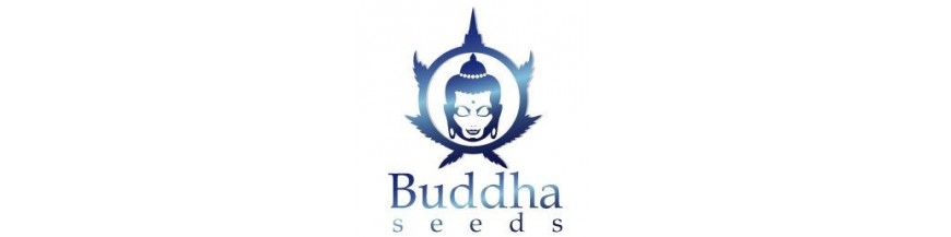 Buddha Seeds Bank
