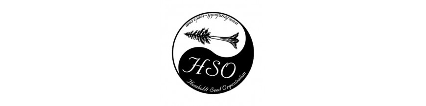 Humboldt Seeds Organisation